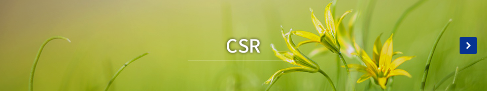 CSR